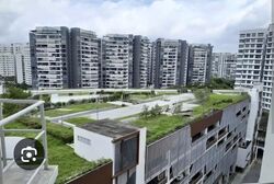 Blk 476A Hougang Capeview (Hougang), HDB 4 Rooms #574485081
